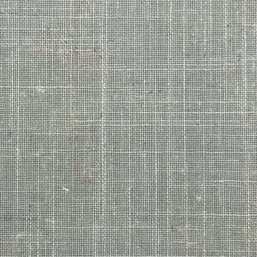 Stargazer FR Blackout - Silver Sage - RM Coco - Fabric by the Yard