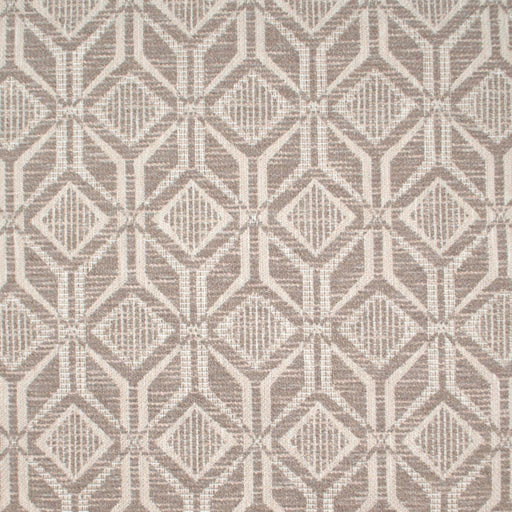 Altamira - Fog - RM Coco - Fabric by the Yard