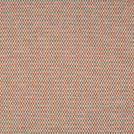 Angkor - Spice Road - RM Coco - Fabric by the Yard