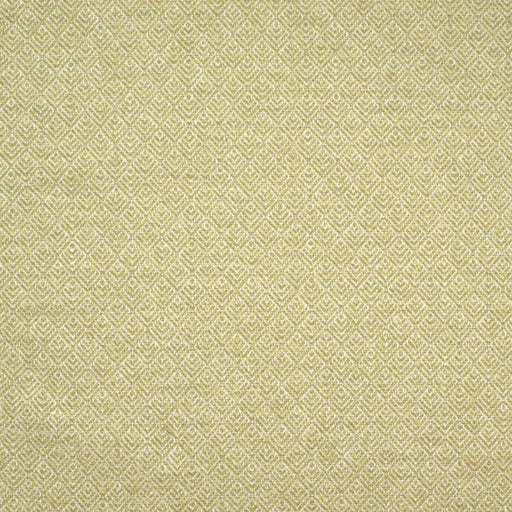 Giza Maze - Zest - RM Coco - Fabric by the Yard