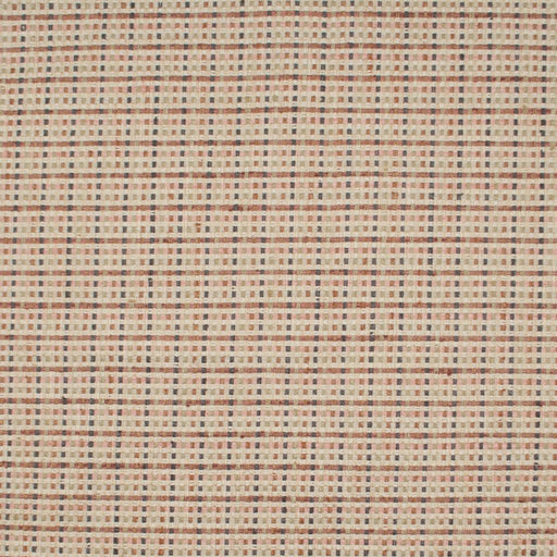 Pomo Basketry - Burnished Gold - RM Coco - Fabric by the Yard