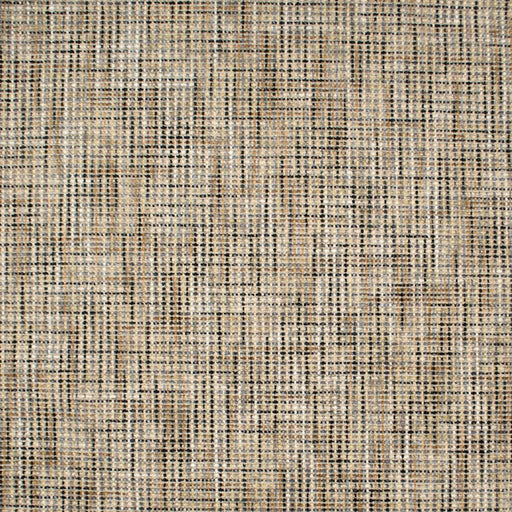 Relic Texture - Black Walnut - RM Coco - Fabric by the Yard