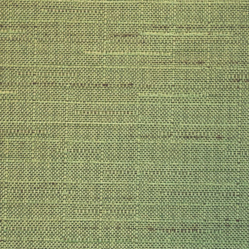 Endurance FR Texture - Spearmint - RM Coco - Fabric by the Yard