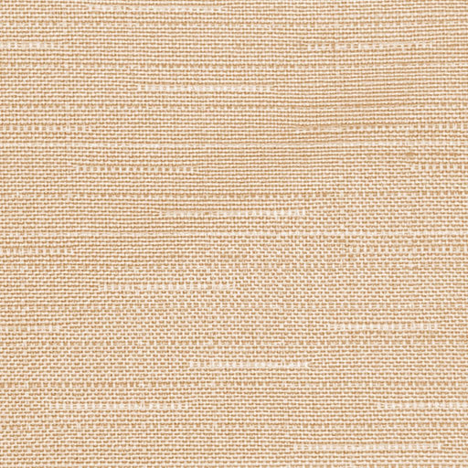 Endurance FR Texture - Conch - RM Coco - Fabric by the Yard