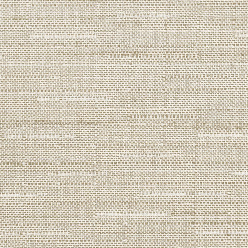 Endurance FR Texture - Froth - RM Coco - Fabric by the Yard