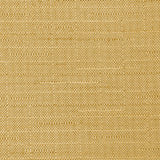 Endurance FR Texture - Forsythia - RM Coco - Fabric by the Yard