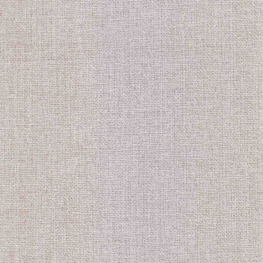 Finesse Multi-Purpose Texture - Titanium - RM Coco - Fabric by the Yard