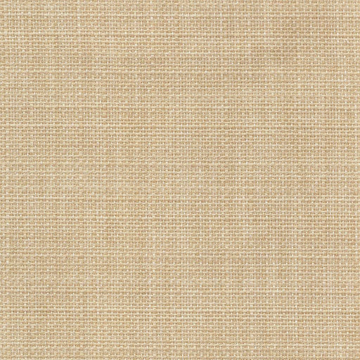 Saint Tropez - Iced Coffee - RM Coco - Fabric by the Yard