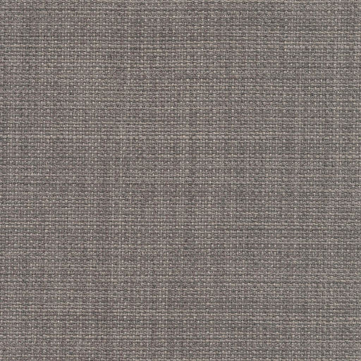 Saint Tropez - Shale - RM Coco - Fabric by the Yard