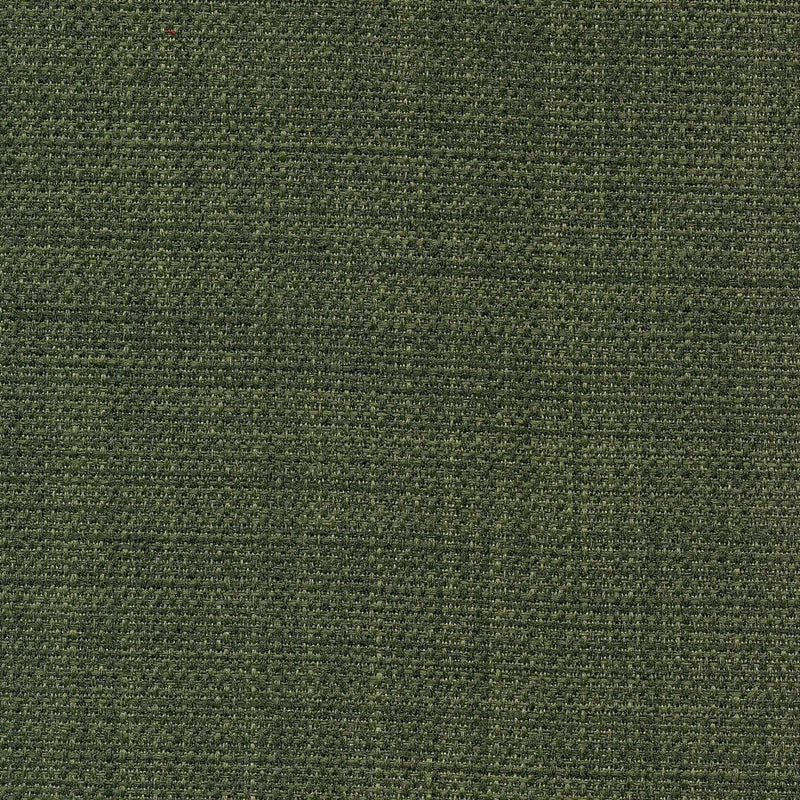 Saint Tropez - Cilantro - RM Coco - Fabric by the Yard