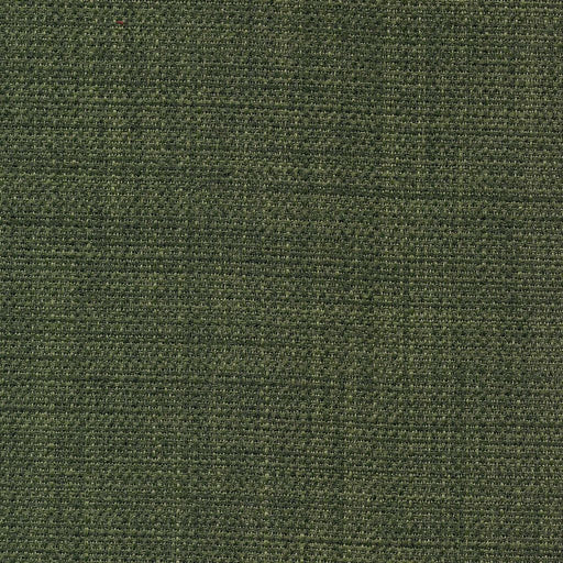 Saint Tropez - Cilantro - RM Coco - Fabric by the Yard