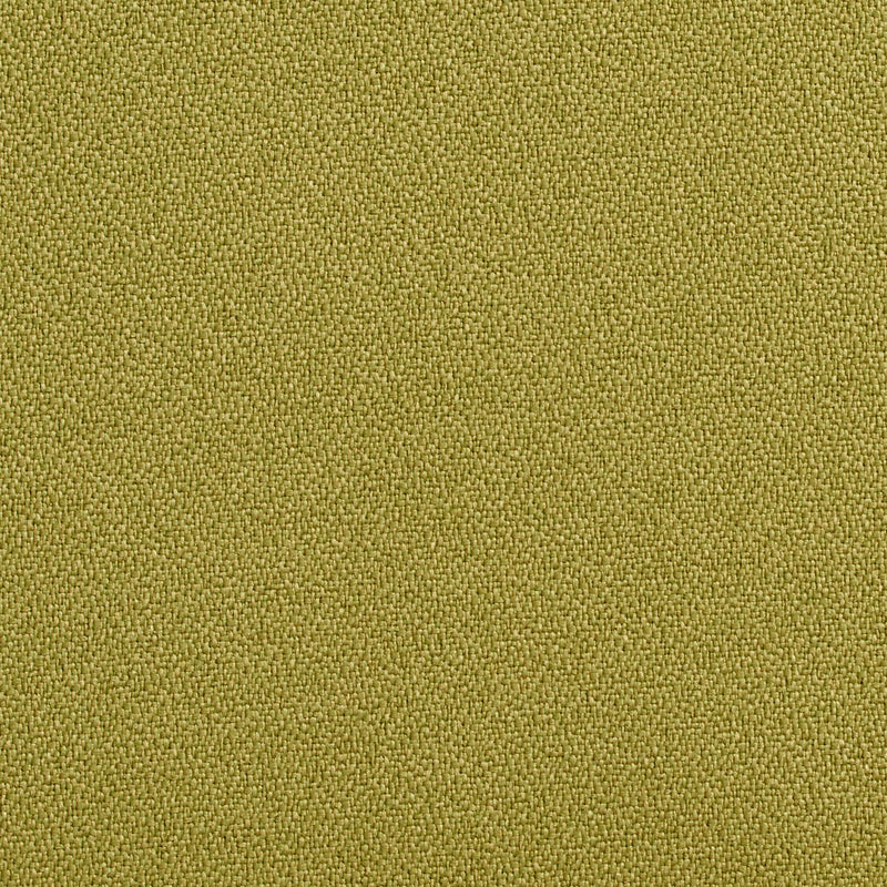 Charlotte - 1763 - Aloe - Fabric by the Yard Aloe