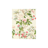 LEE JOFA - CHINESE PEONY- ROSE - Fabric by the Yard