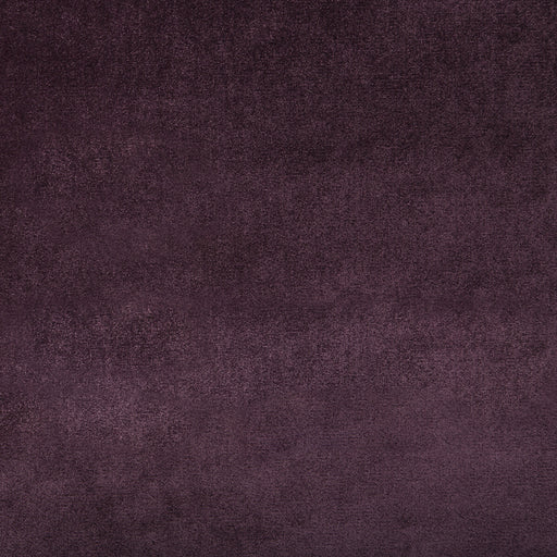 LEE JOFA - DUCHESS VELVET- PURPLE - Fabric by the Yard PURPLE