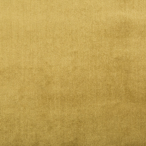 LEE JOFA - DUCHESS VELVET- ORO - Fabric by the Yard ORO