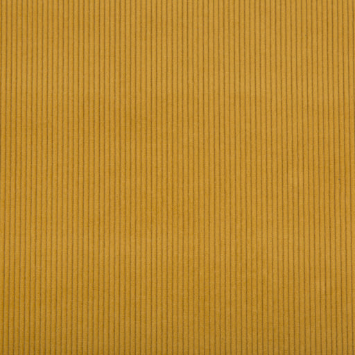 LEE JOFA - SARANAC CORD- GOLD - Fabric by the Yard GOLD