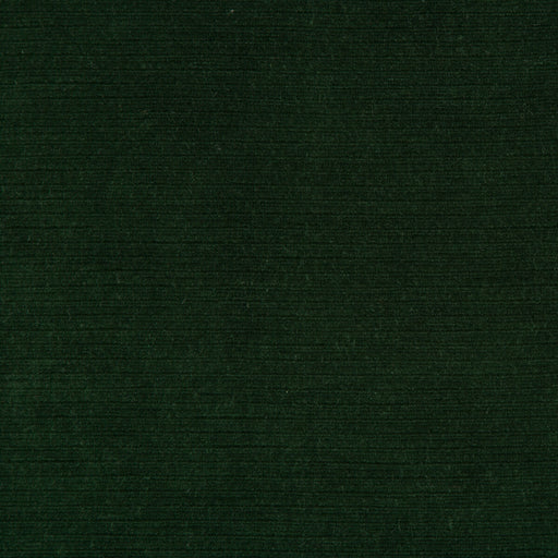 LEE JOFA - GEMMA VELVET- EMERALD - Fabric by the Yard EMERALD
