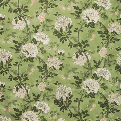 LEE JOFA - INISFREE- MEADOW - Fabric by the Yard MEADOW