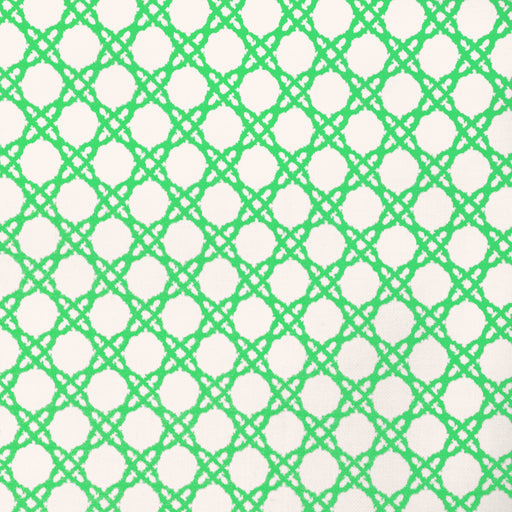 LEE JOFA - COASTAL CANE- GREEN - Fabric by the Yard GREEN
