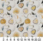 Charlotte - 20410-01 - Fabric by the Yard - 20410-01 - 20410-01_Ruler