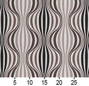 Charlotte - 20430-01 - Fabric by the Yard - 20430-01 - 20430-01_Ruler