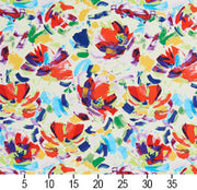 Charlotte - 20440-01 - Fabric by the Yard - 20440-01 - 20440-01_Ruler