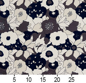 Charlotte - 20450-01 - Fabric by the Yard - 20450-01 - 20450-01_Ruler