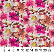 Charlotte - 20460-01 - Fabric by the Yard - 20460-01 - 20460-01_Ruler