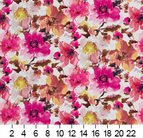 Charlotte - 20460-01 - Fabric by the Yard - 20460-01 - 20460-01_Ruler