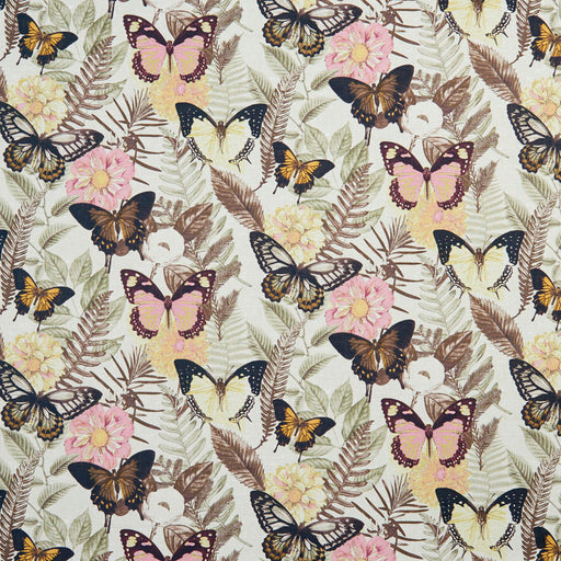 Charlotte - 20470-01 - Fabric by the Yard 20470-01