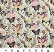Charlotte - 20470-01 - Fabric by the Yard - 20470-01 - 20470-01_Ruler