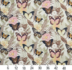 Charlotte - 20470-01 - Fabric by the Yard - 20470-01 - 20470-01_Ruler