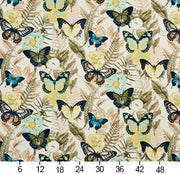 Charlotte - 20470-02 - Fabric by the Yard - 20470-02 - 20470-02_Ruler