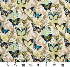 Charlotte - 20470-02 - Fabric by the Yard - 20470-02 - 20470-02_Ruler