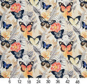 Charlotte - 20470-03 - Fabric by the Yard - 20470-03 - 20470-03_Ruler