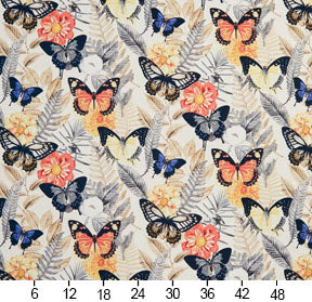 Charlotte - 20470-03 - Fabric by the Yard - 20470-03 - 20470-03_Ruler