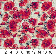 Charlotte - 20480-01 - Fabric by the Yard - 20480-01 - 20480-01_Ruler