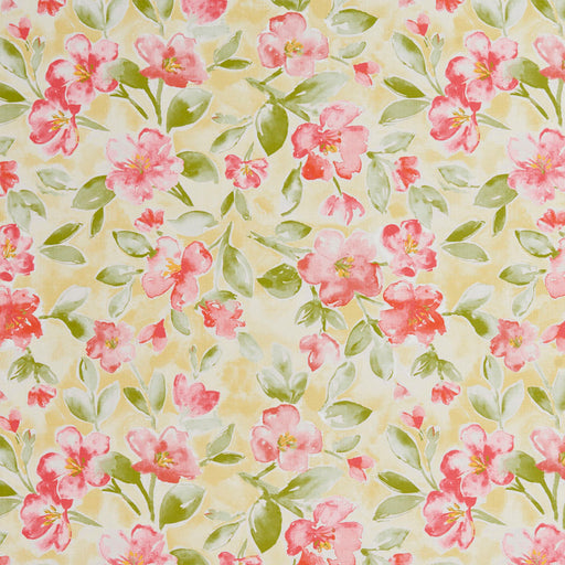 Charlotte - 20500-01 - Fabric by the Yard 20500-01