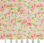 Charlotte - 20500-01 - Fabric by the Yard - 20500-01 - 20500-01_Ruler
