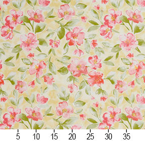 Charlotte - 20500-01 - Fabric by the Yard - 20500-01 - 20500-01_Ruler
