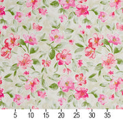 Charlotte - 20500-05 - Fabric by the Yard - 20500-05 - 20500-05_Ruler