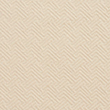 Charlotte - 20600-05 - Fabric by the Yard