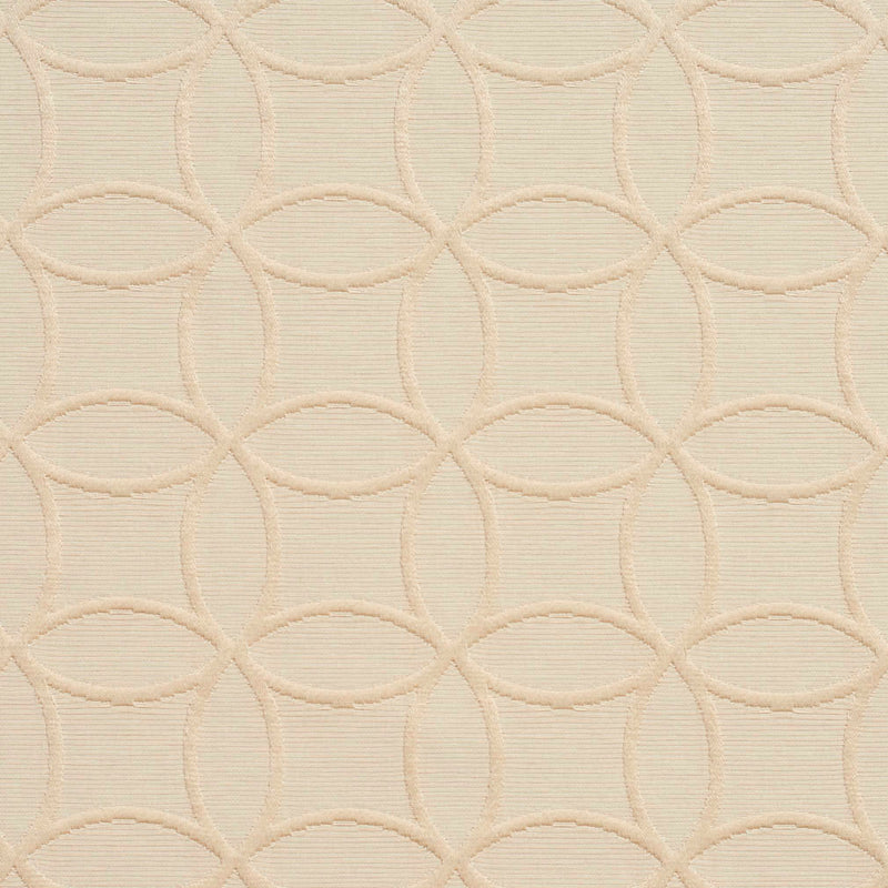 Charlotte - 20610-05 - Fabric by the Yard 20610-05