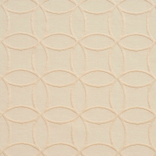 Charlotte - 20610-05 - Fabric by the Yard 20610-05