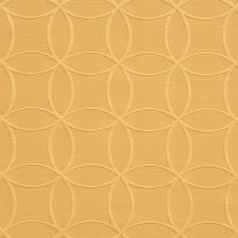 Charlotte - 20610-09 - Fabric by the Yard 20610-09