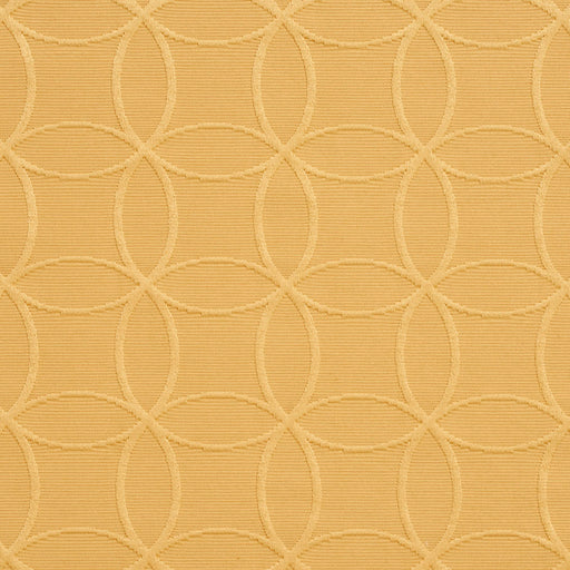 Charlotte - 20610-09 - Fabric by the Yard 20610-09
