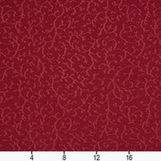 Charlotte - 20630-04 - Fabric by the Yard - 20630-04 - 20630-04_Ruler