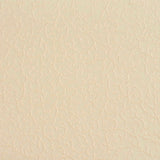 Charlotte - 20630-05 - Fabric by the Yard