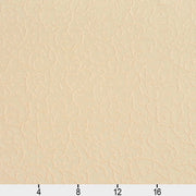 Charlotte - 20630-05 - Fabric by the Yard - 20630-05 - 20630-05_Ruler