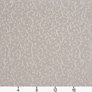 Charlotte - 20630-07 - Fabric by the Yard - 20630-07 - 20630-07_Ruler